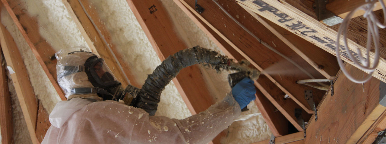 Virginia Beach Virginia Attic Insulation Spray Foam